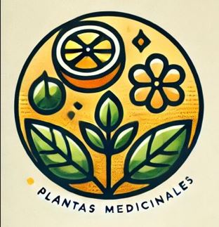 Descripción de la imagen